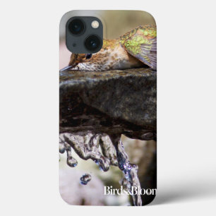 Etui iPhone 13 Hummingbird  Laying in Water
