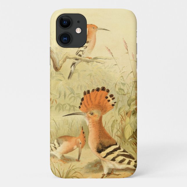 Coques Case-Mate iPhone Huppes vintages (Dos)