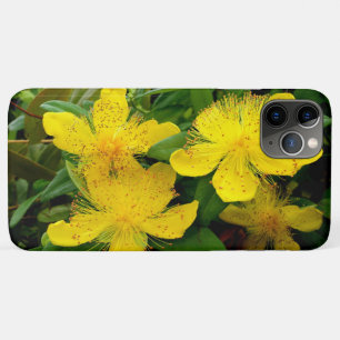Case-Mate iPhone Case Hypericum calycinum