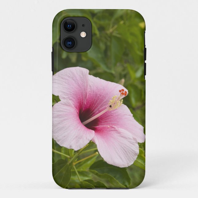 Coques Case-Mate iPhone Îles Cook, Atiu. Fleur d'Hibiscus. (Dos)