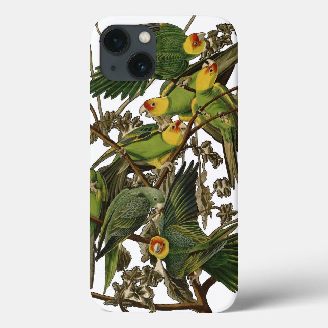 Coques Case-Mate iPhone Illustration Audubon Carolina Parrot Bird (Verso)