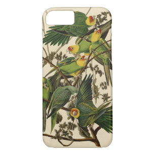 Coque iPhone 7 Illustration Audubon Carolina Parrot Bird