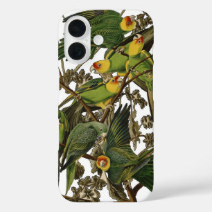 Coque Pour iPhone 16 Illustration Audubon Carolina Parrot Bird