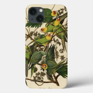 iPhone 13 Coque Illustration Audubon Carolina Parrot Bird