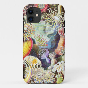 Case-Mate iPhone Case Illustration des anémones de mer par Ernst Haeckel