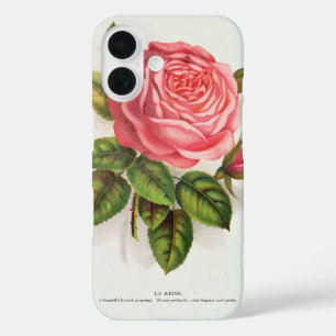 Coque Pour iPhone 16 Illustration Florale Rose Rose Antique Cottagecore