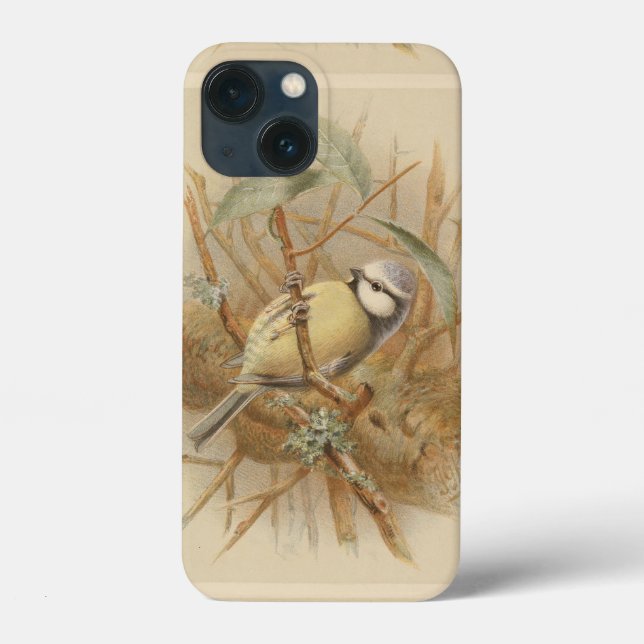 Coques Case-Mate iPhone Illustration vintage de Bluetit (Verso)