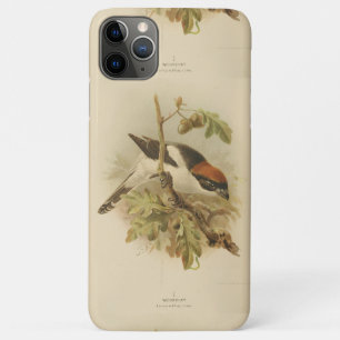 Case-Mate iPhone Case Illustration vintage de Woodchat Shrike