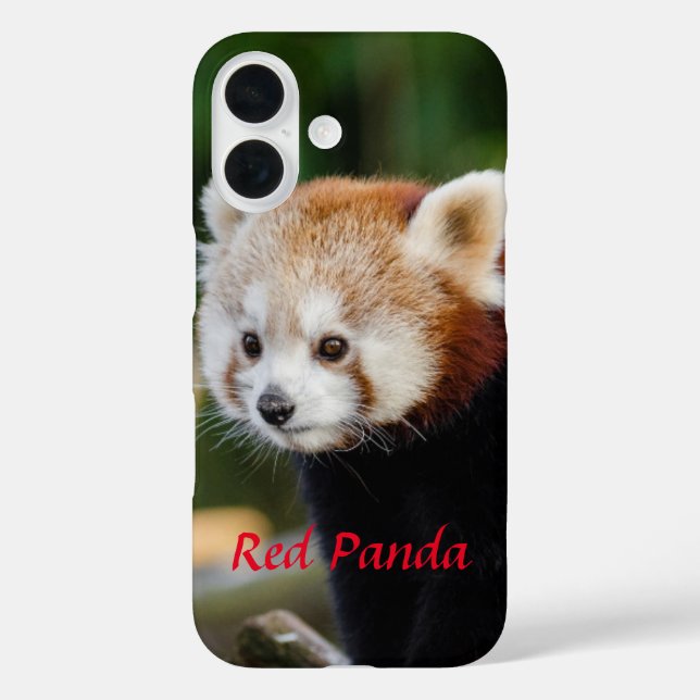 Coques Case-Mate iPhone Image de Panda roux sur un rondin enneigé (Verso)