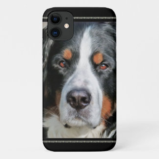 Coques Pour iPhone Image de photo de chien de montagne de Bernese