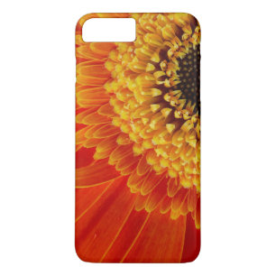 Coques Pour iPhone Image Orange Yellow Sun Flower