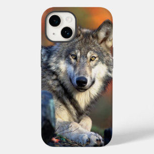 Coque Case-Mate iPhone Image Wolf