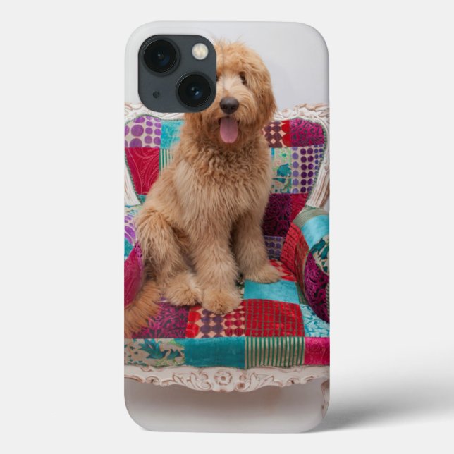 Coques Case-Mate iPhone Images Getty | Cute Goldendoodle (Verso)