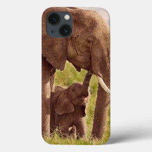 Etui iPhone Case-Mate Images Getty   Elephant & bébé