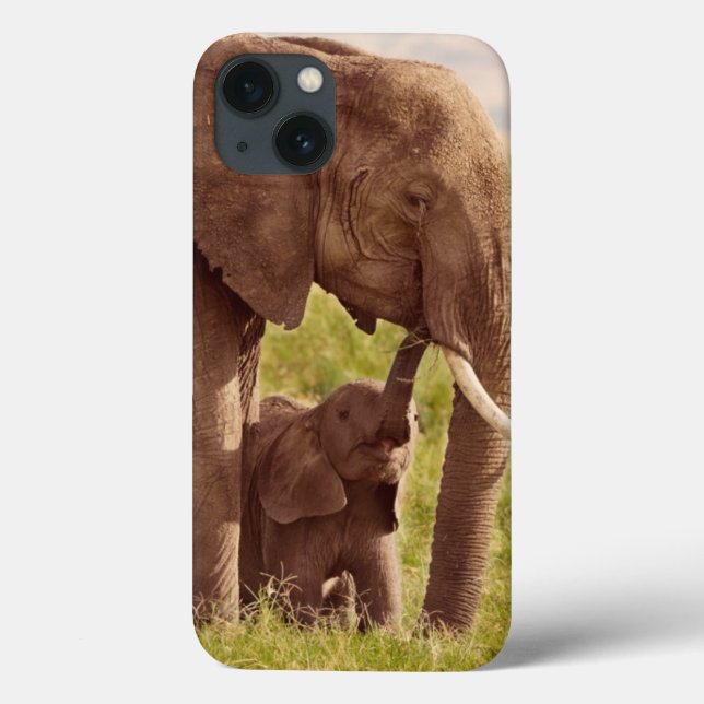 Coques Case-Mate iPhone Images Getty | Elephant & bébé (Verso)
