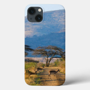Etui iPhone Case-Mate Impala (Aepyceros Melampus), Hluhluwe-Umfolozi