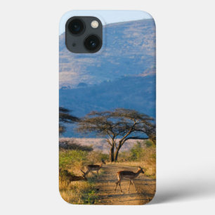 Coque Case-Mate iPhone Impala (Aepyceros Melampus), Hluhluwe-Umfolozi