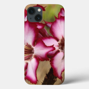 Etui iPhone 13 Impala Lily (Adenium Multiflorum), Kruger