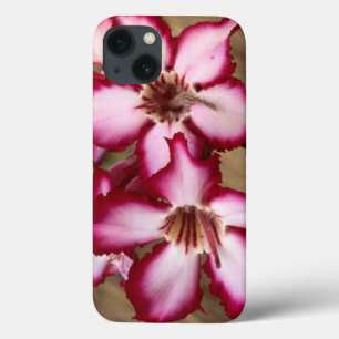 Etui iPhone 13 Impala Lily (Adenium Multiflorum), Kruger