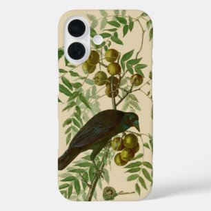 Coque Pour iPhone 16 Impression d'oiseau Grackle violet d'Audubon Botan