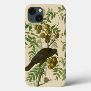 Case-Mate iPhone Case Impression d'oiseau Grackle violet d'Audubon Botan