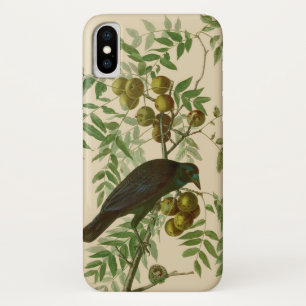 Case-Mate iPhone Case Impression d'oiseau Grackle violet d'Audubon Botan