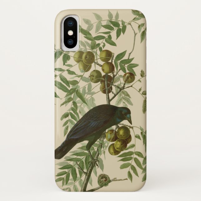 Coques Case-Mate iPhone Impression d'oiseau Grackle violet d'Audubon Botan (Dos)