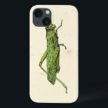Coques Pour iPhone Impression encadrée de sauterelles vertes<br><div class="desc">Cette impression bordée de chaux présente une sauterelle verte sur un arrière - plan crème. Un original de Vision Studio,  cela ferait un grand cadeau pour l'insecte ou amoureux de la nature dans votre vie!</div>