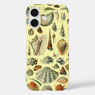 Coque Pour iPhone 16 Impression vintage de coquillages d'Adolphe Millot