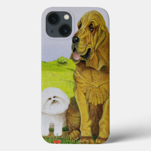 Etui iPhone 13 In Charge
