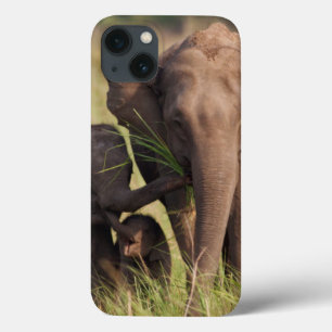 Etui iPhone 13 Indian Asian Elephant Family in the Savannah