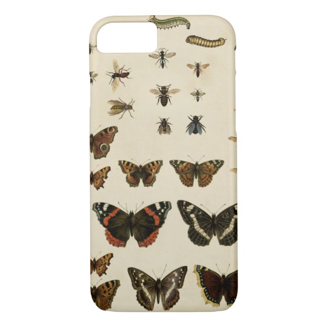 Coques Case-Mate iPhone Insectes de jardin par Vision Studio (Dos)