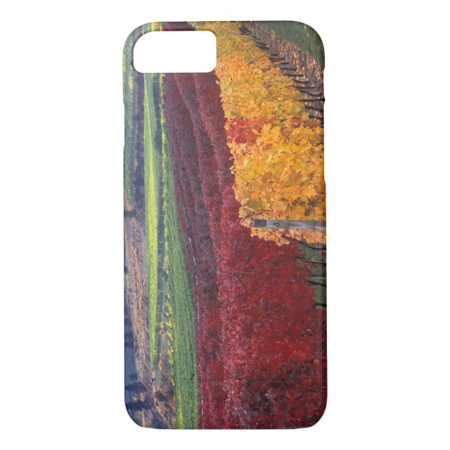 Coques Case-Mate iPhone Intense couleur rouge et jaune sur Gehring (Dos)