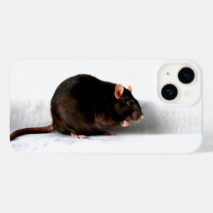Coque Case-Mate iPhone Iphcna rat