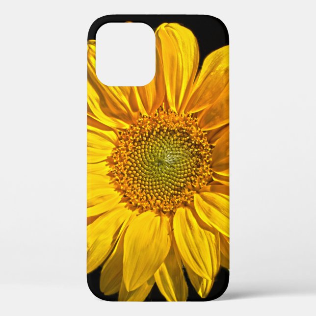 Coques Case-Mate iPhone iphcnm de tournesol (Verso)