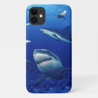 iPhone 11 Coque-requins