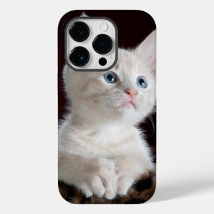 iphone 14 coques pro chat amour