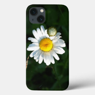 Case-Mate iPhone Case iPhone Daisy 6/6, Tough Xtreme
