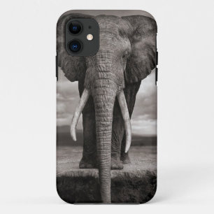 Coques Pour iPhone iphone, éléphant