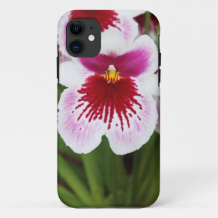 Coque Case-Mate iPhone iPhone graphique 5case de photo d'iris élégant