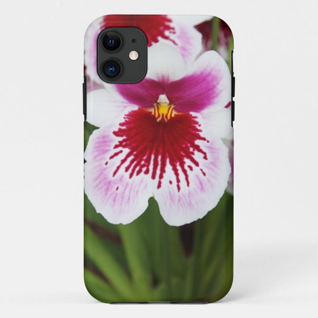 Coques Case-Mate iPhone iPhone graphique 5case de photo d'iris élégant (Dos)