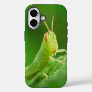 Coque Pour iPhone 16 iPhone / iPad case