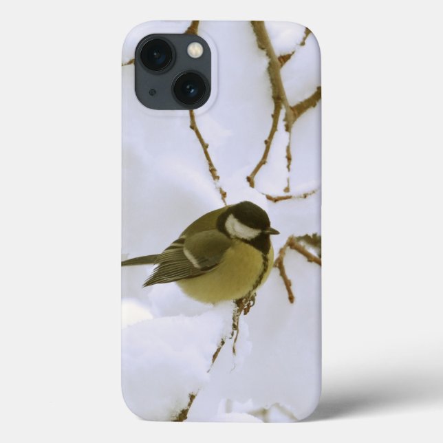 Coques Case-Mate iPhone iPhone jaune 6/6s, Xtreme dur d'hiver d'oiseau (Verso)