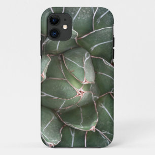 Coque iPhone 11 iPhone SE succulent + iPhone 5/5S