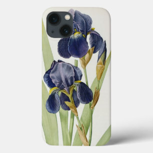 Etui iPhone 13 Iris Germanica, de "Les Liliacees", 1805