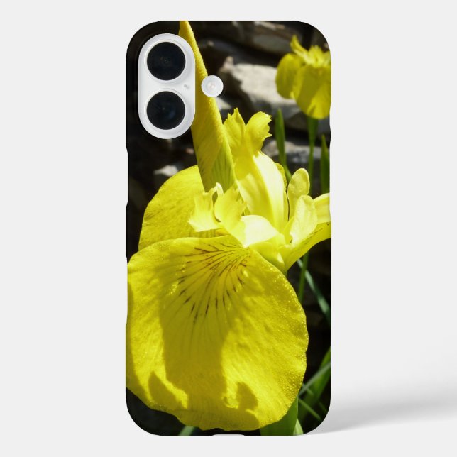 Coques Case-Mate iPhone Iris jaunes Floral de printemps lumineux (Verso)