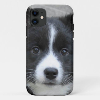 Coque iPhone 11 Irish Sheepdog 2014-0804