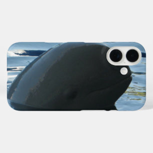 Coque Pour iPhone 16 Irrawaddy Dolphin Peek-A-Boo