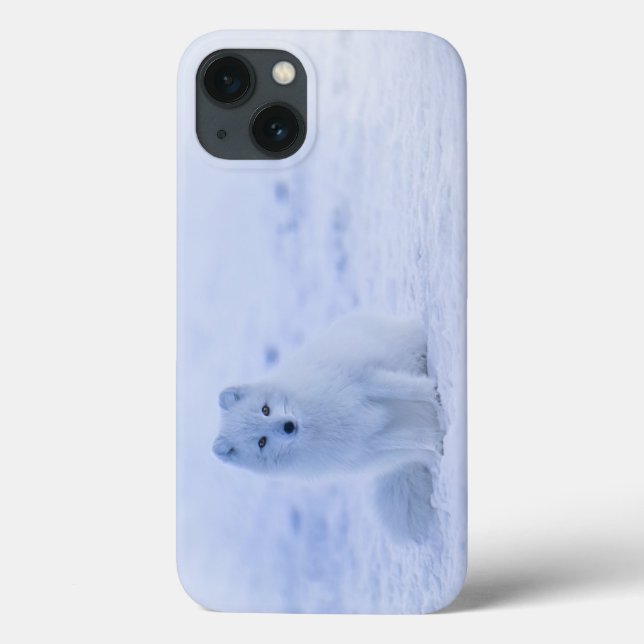 Coques Case-Mate iPhone Islande Renard arctique (Verso)