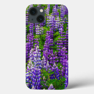 Coque Case-Mate iPhone Islande. Vik i Myrdal. Champ de lupins